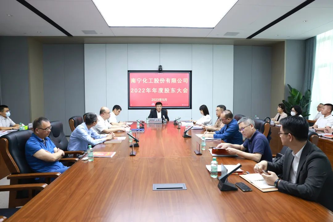 南宁化工股份有限公司（新葡萄有色）完成董事会、监事会换届工作